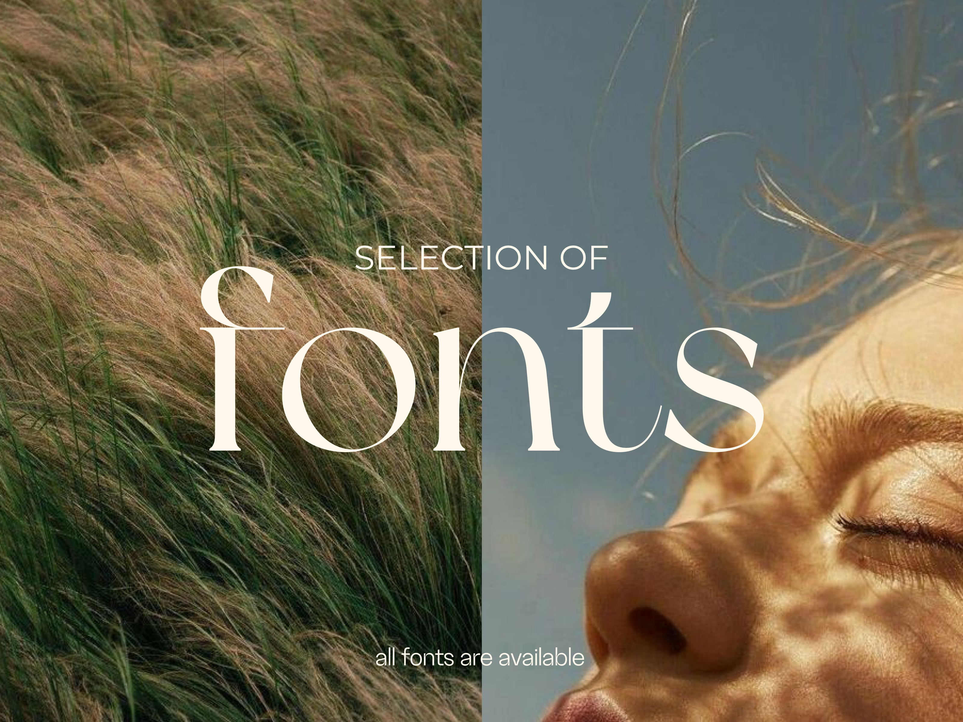 5 Selection of Fonts Free Download for Creative Projects